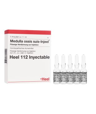 MEDULA OSSIS SUIS AMPOLLA DE HEEL