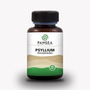 PSYLLIUM 60 CAPSULAS PANGEA