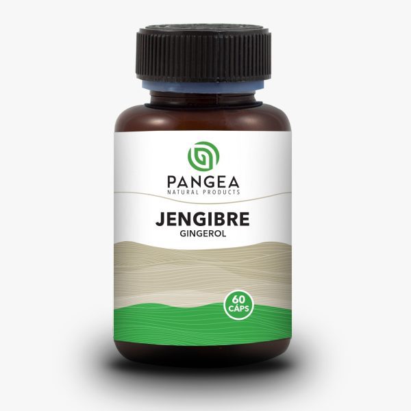 JENGIBRE  60 CAPSULAS PANGEA